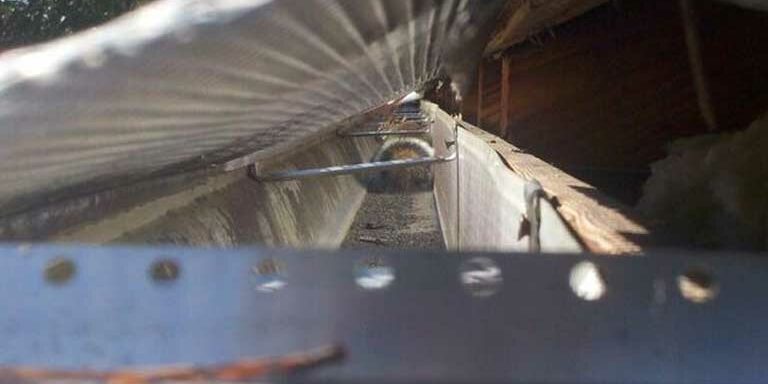 exclusions and repair