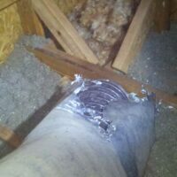 squirrel-insulation-damage