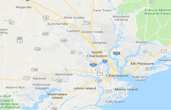 CHARLESTON SC WILDLIFE CONTROL SQUIRREL TRAPPING & REMOVAL SERVICES LAUNCHED CHARLESTON SC WILDLIFE CONTROL SQUIRREL TRAPPING & REMOVAL SERVICES LAUNCHED